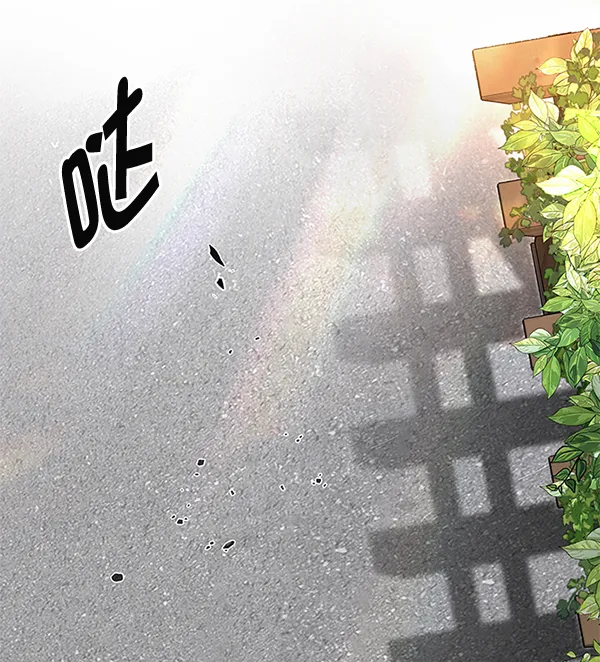 [尾声] WOLO 第3页
