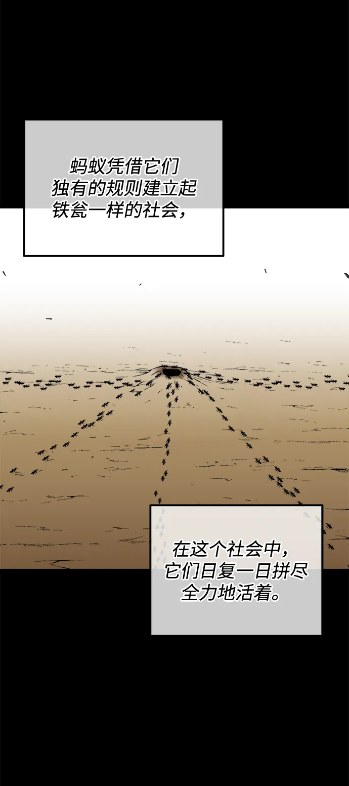 第48话 第3页