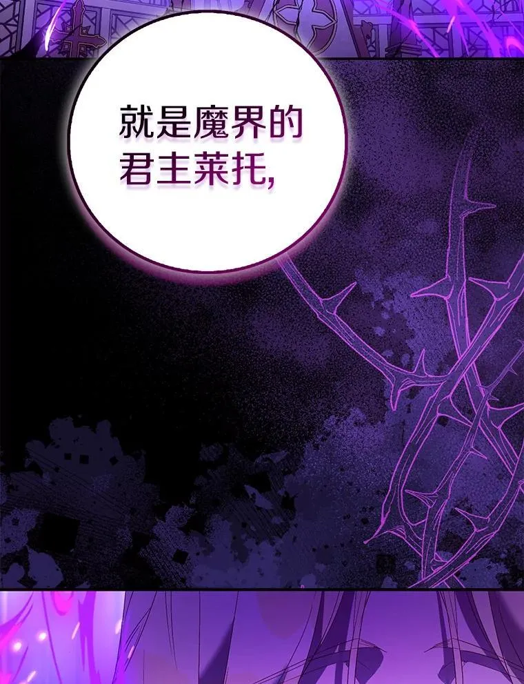81.制裁 第26页