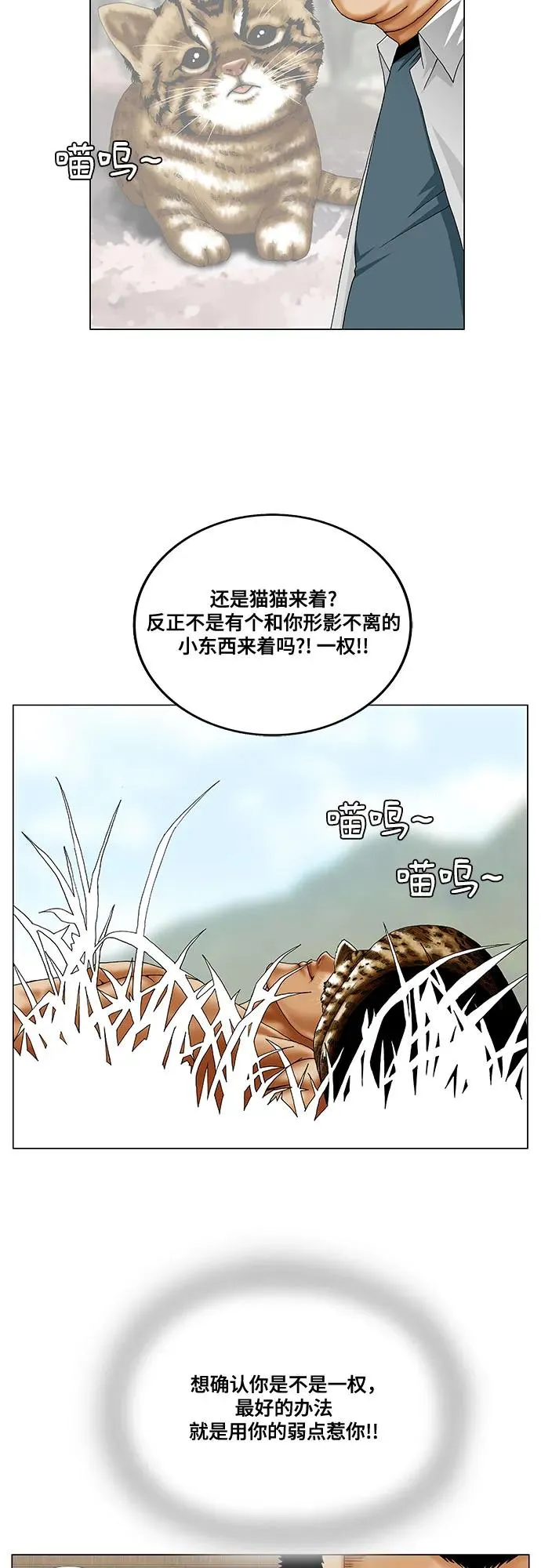 第246话 第15页