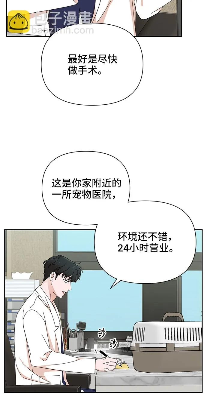第41话 第31页