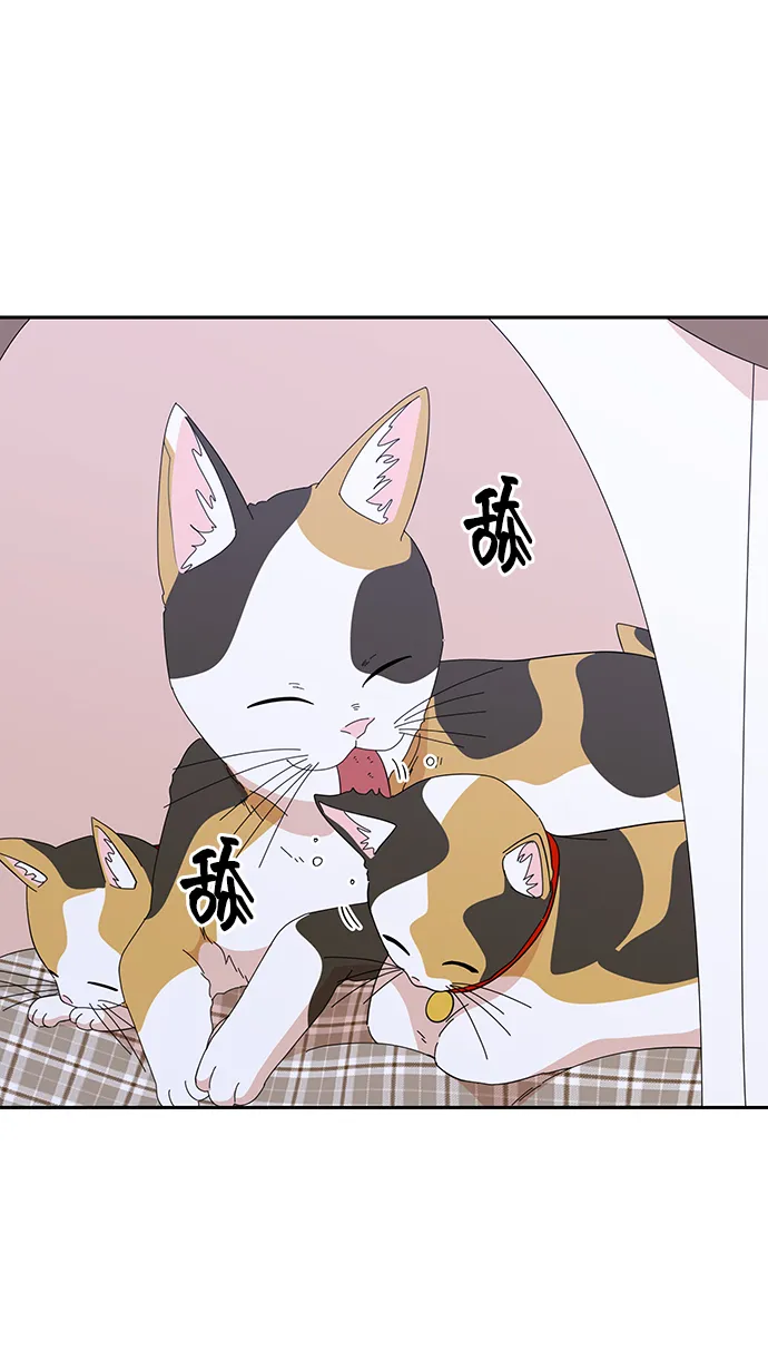 第39话 第6页