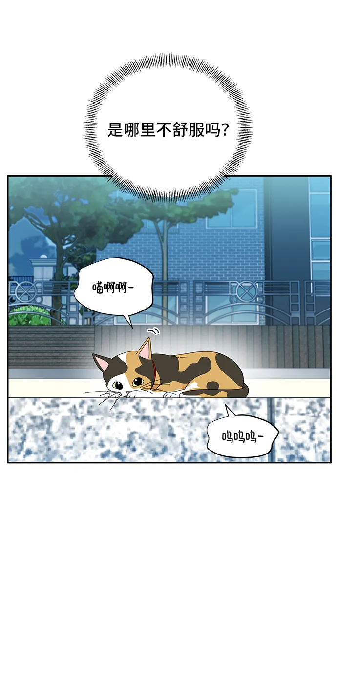 第38话 第43页