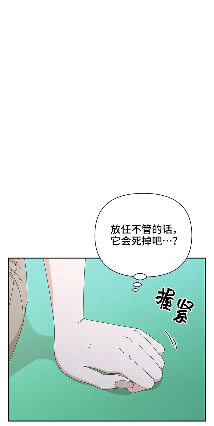 第29话 第84页