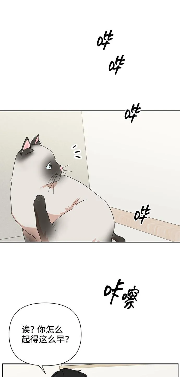 第53话 第34页