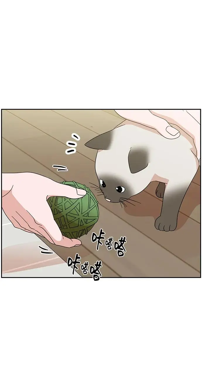第62话 第54页
