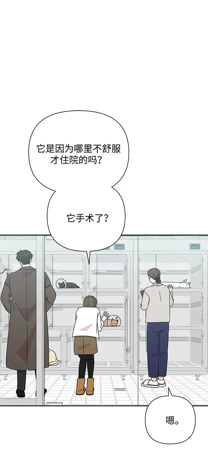 第84话 第48页