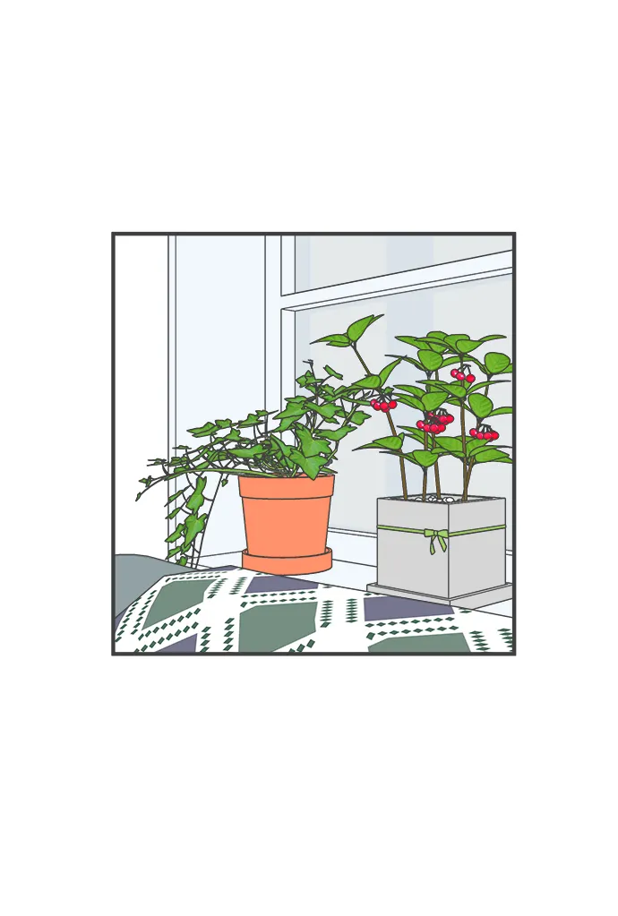 [第35话] 比起被爱更好的是…（5） 第15页