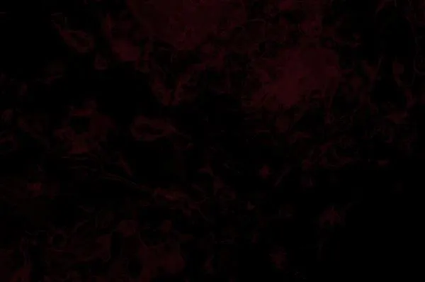 [第62话] 结婚是件疯狂的事 第68页