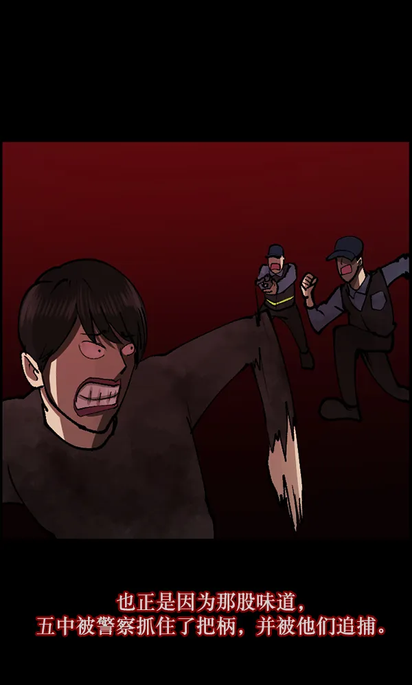[第114话] 猎魔人 第116页