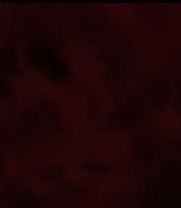 [第137话] SCPW-0001 -死亡视频- 第219页