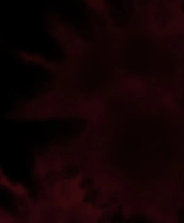 [第159话] 地狱：6点59分（6）完 第117页