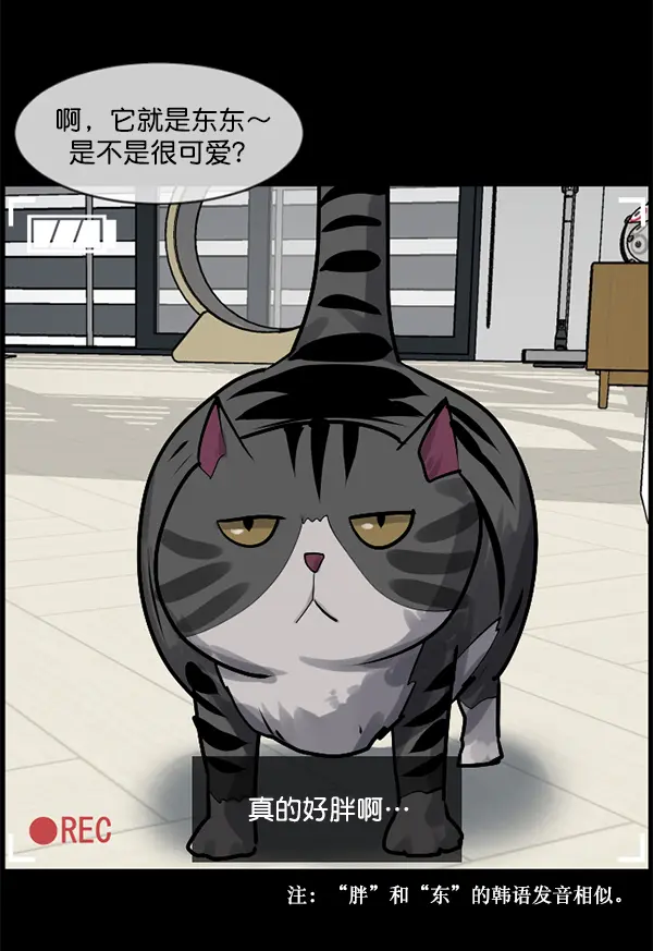 [第200话] 采访 第13页