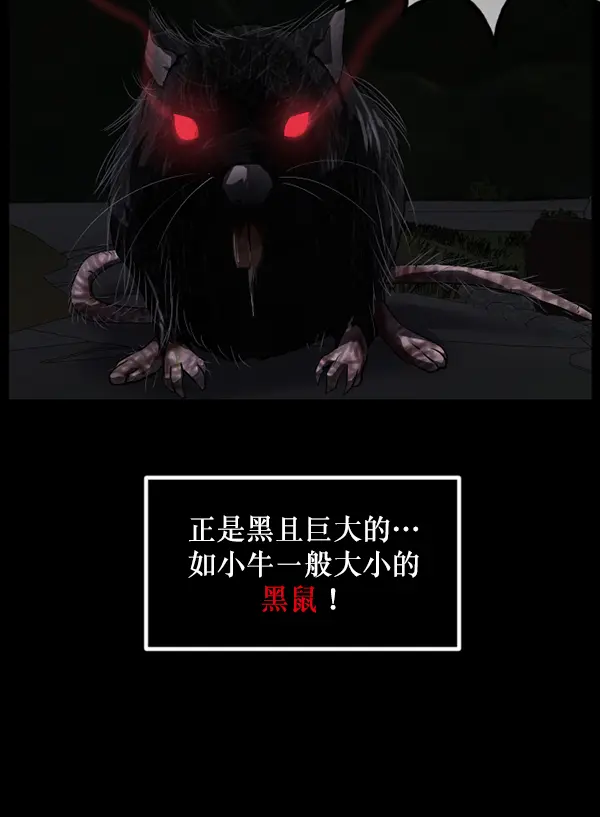 [第233话] 黑鼠 第81页