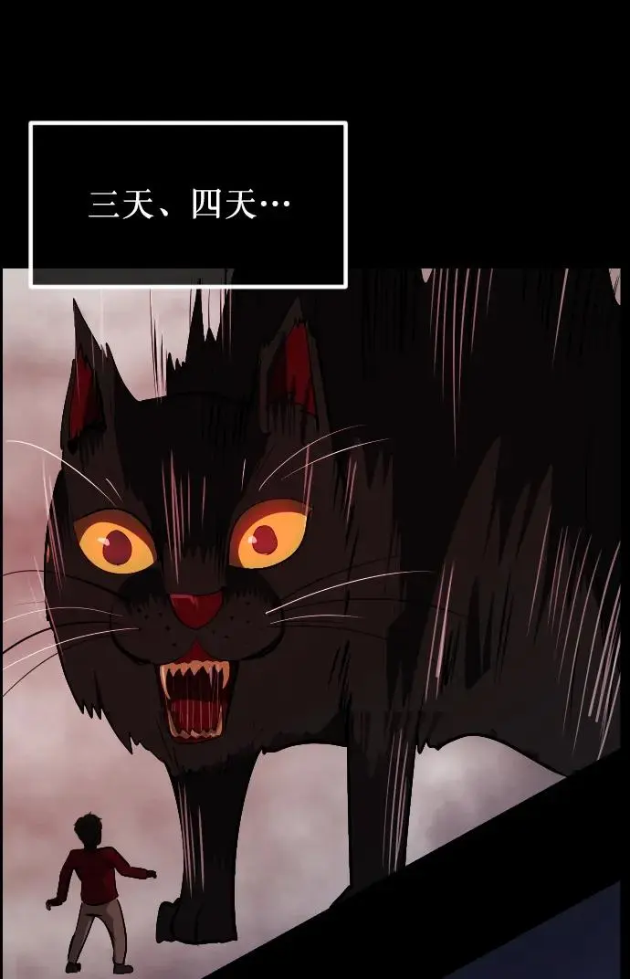 [第313话] 猫灵 第48页