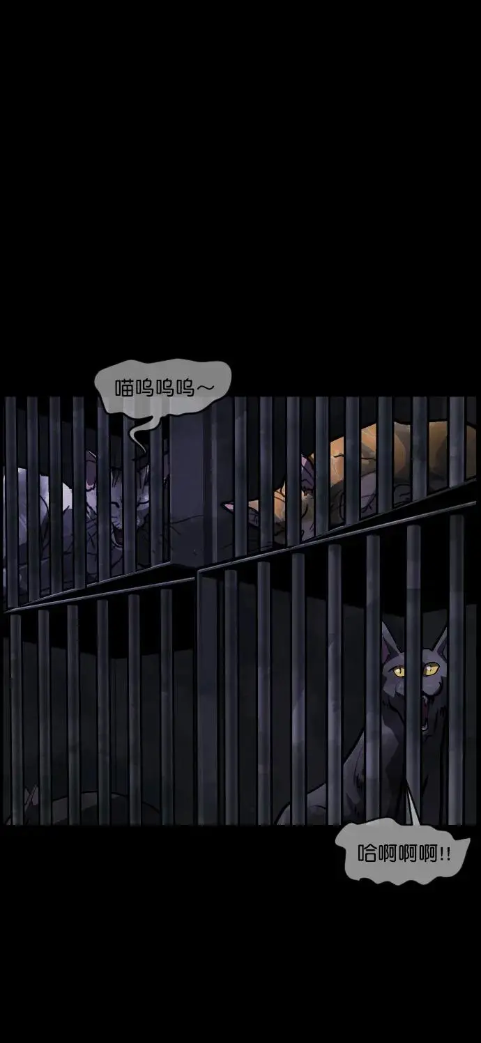 [第313话] 猫灵 第82页