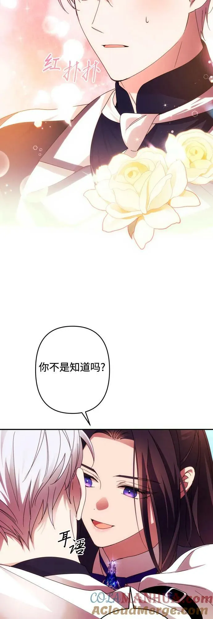 第54话 第28页