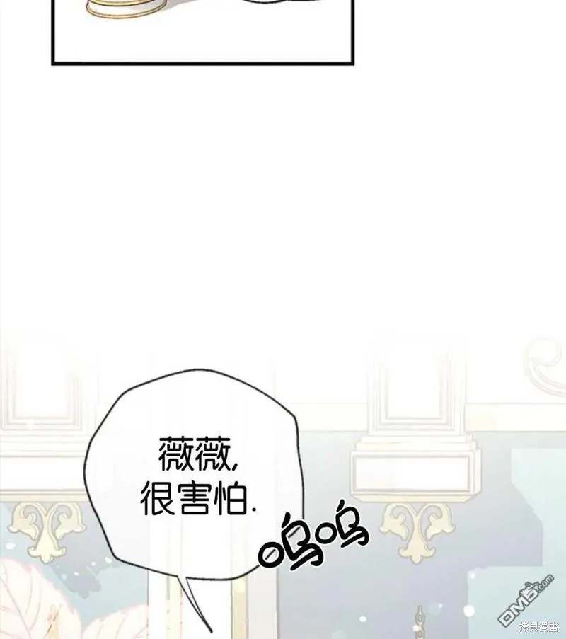 27.可疑的马车 第62页
