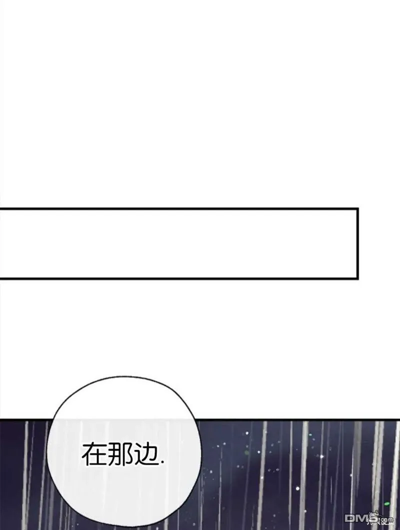 27.可疑的马车 第86页
