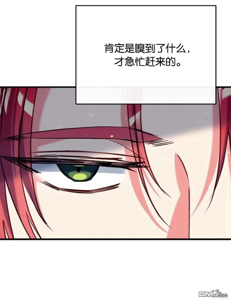 33.弃卒保车 第10页