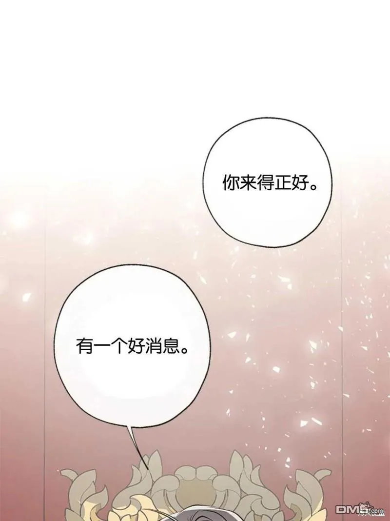 33.弃卒保车 第11页
