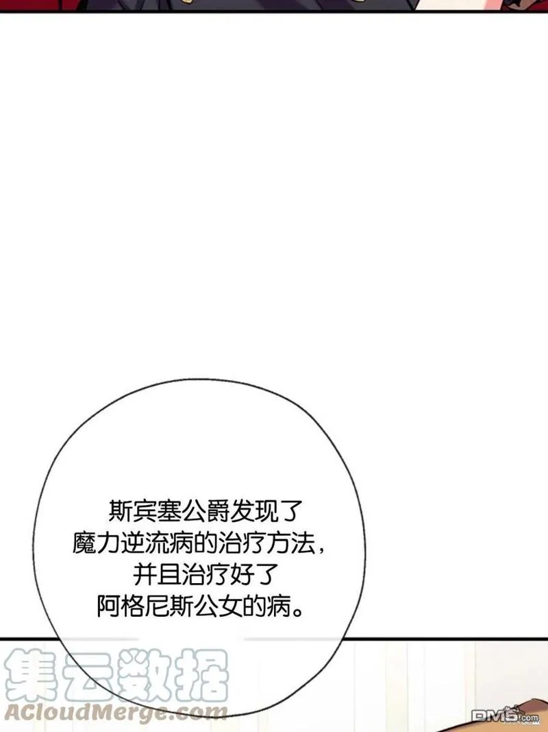 33.弃卒保车 第13页