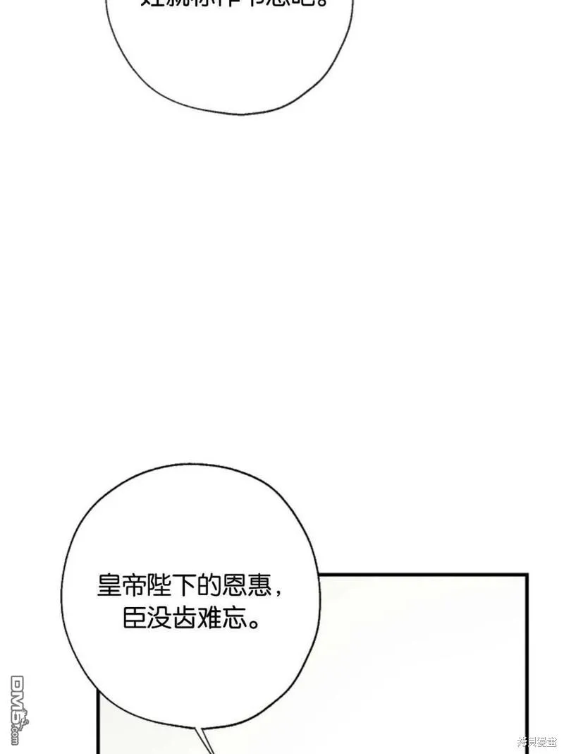 33.弃卒保车 第15页