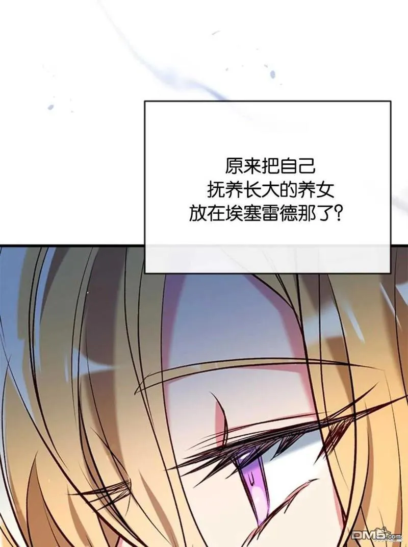 33.弃卒保车 第44页