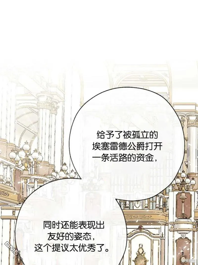 33.弃卒保车 第46页