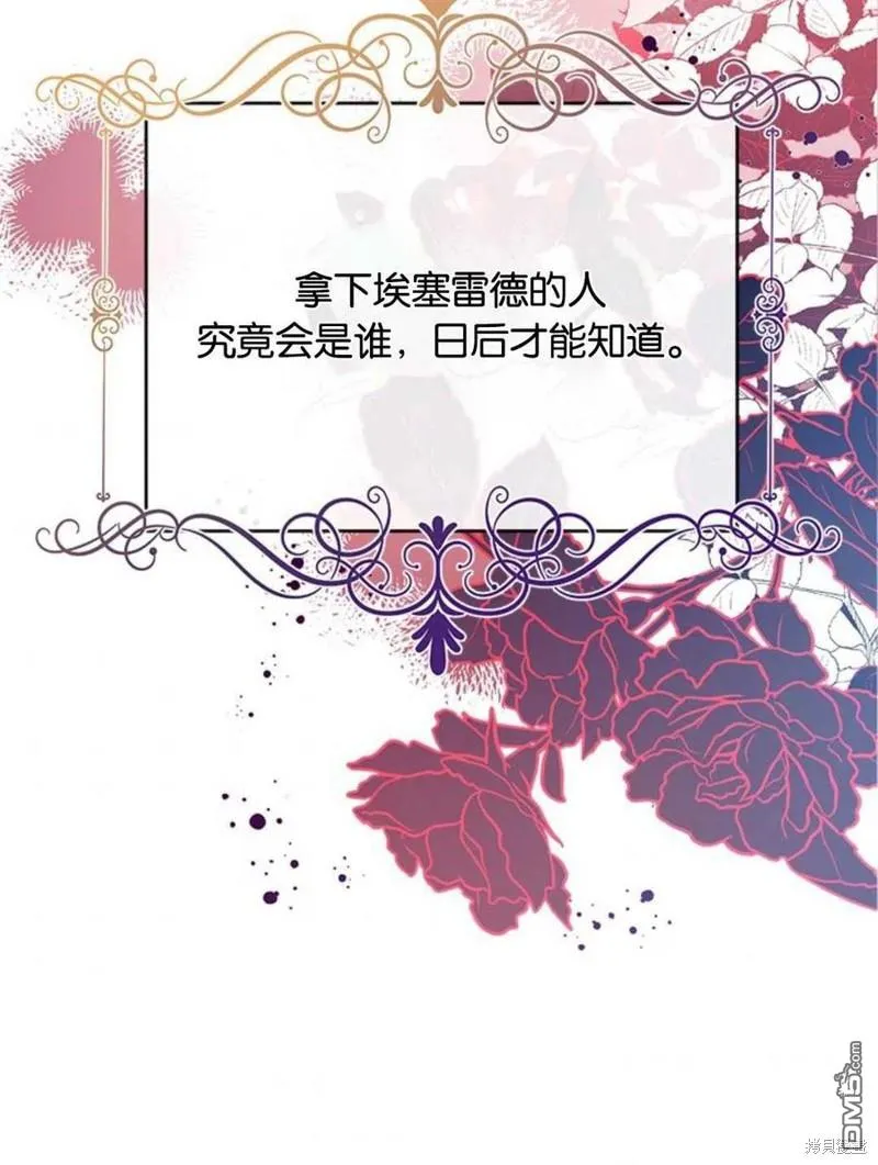 33.弃卒保车 第54页
