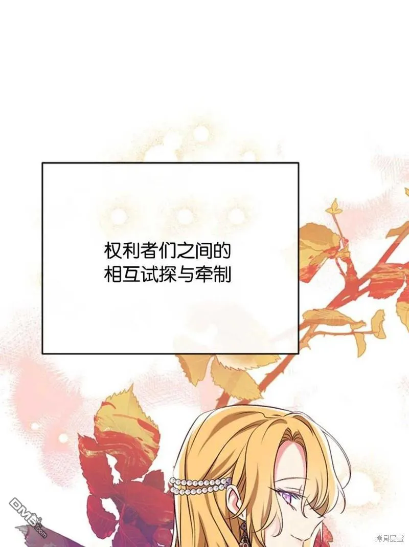 33.弃卒保车 第71页