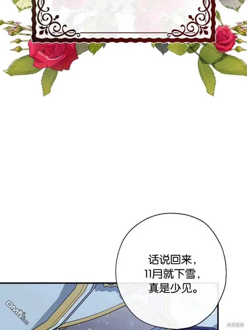 33.弃卒保车 第74页