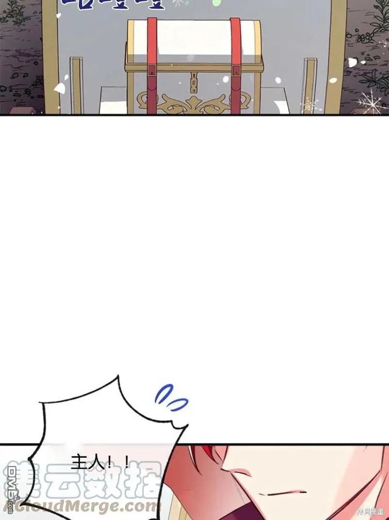 33.弃卒保车 第77页