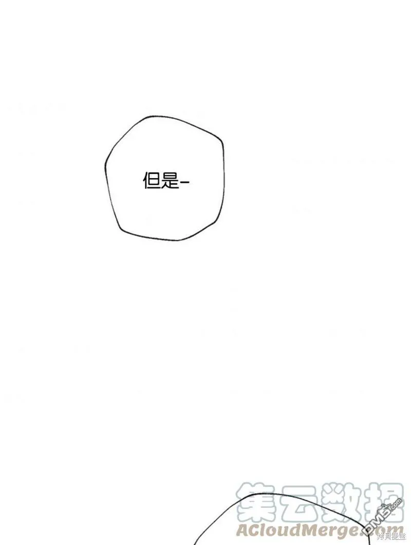 33.弃卒保车 第81页