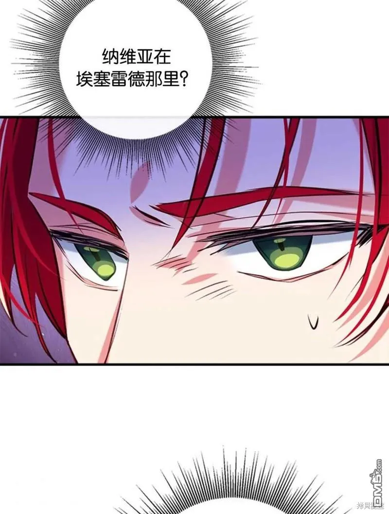 33.弃卒保车 第115页