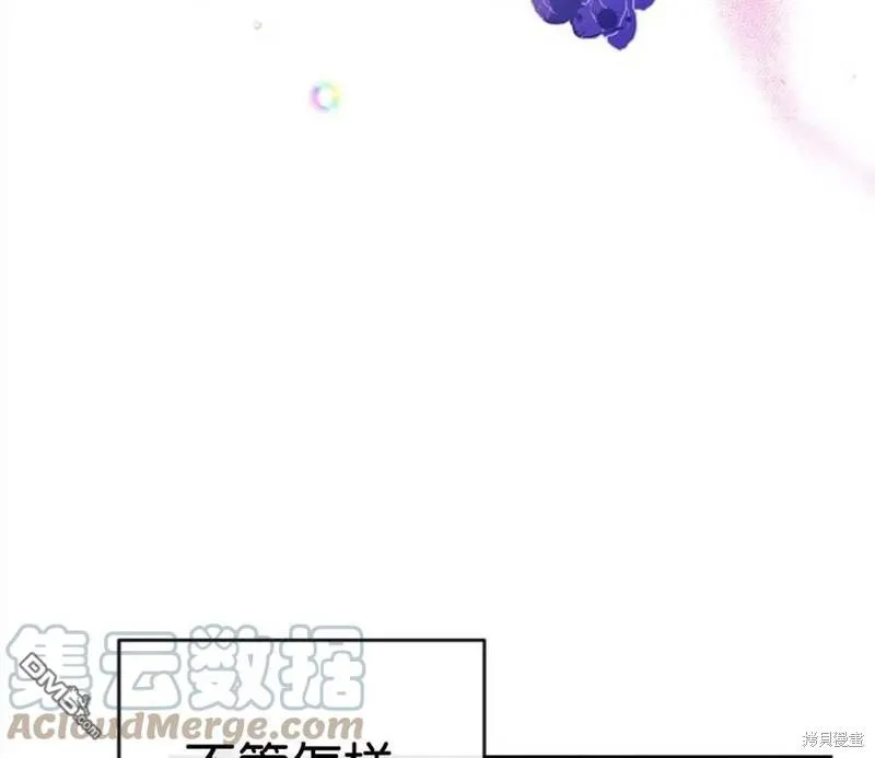 24.薇薇安痊愈 第13页