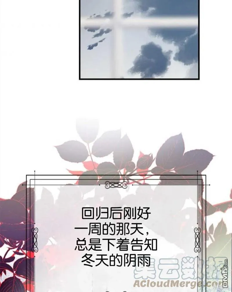24.薇薇安痊愈 第73页