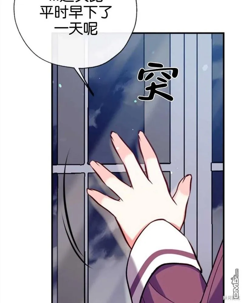 24.薇薇安痊愈 第78页