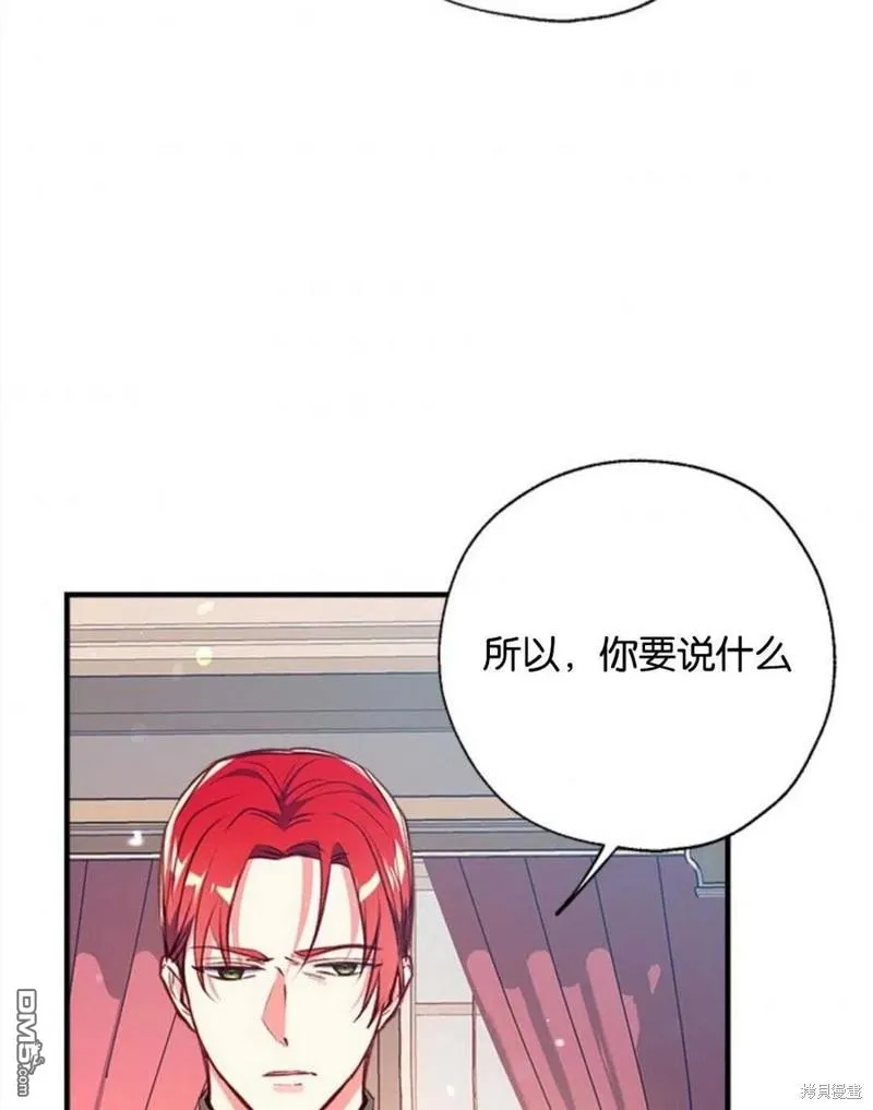 23.斯宾塞的提议 第2页
