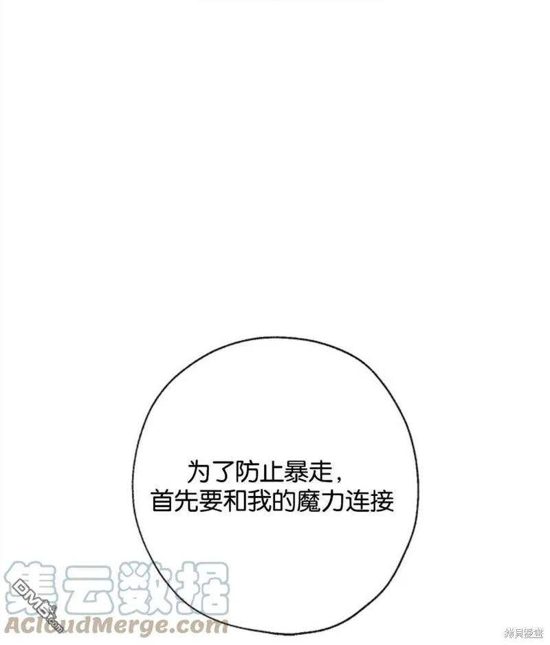 23.斯宾塞的提议 第17页