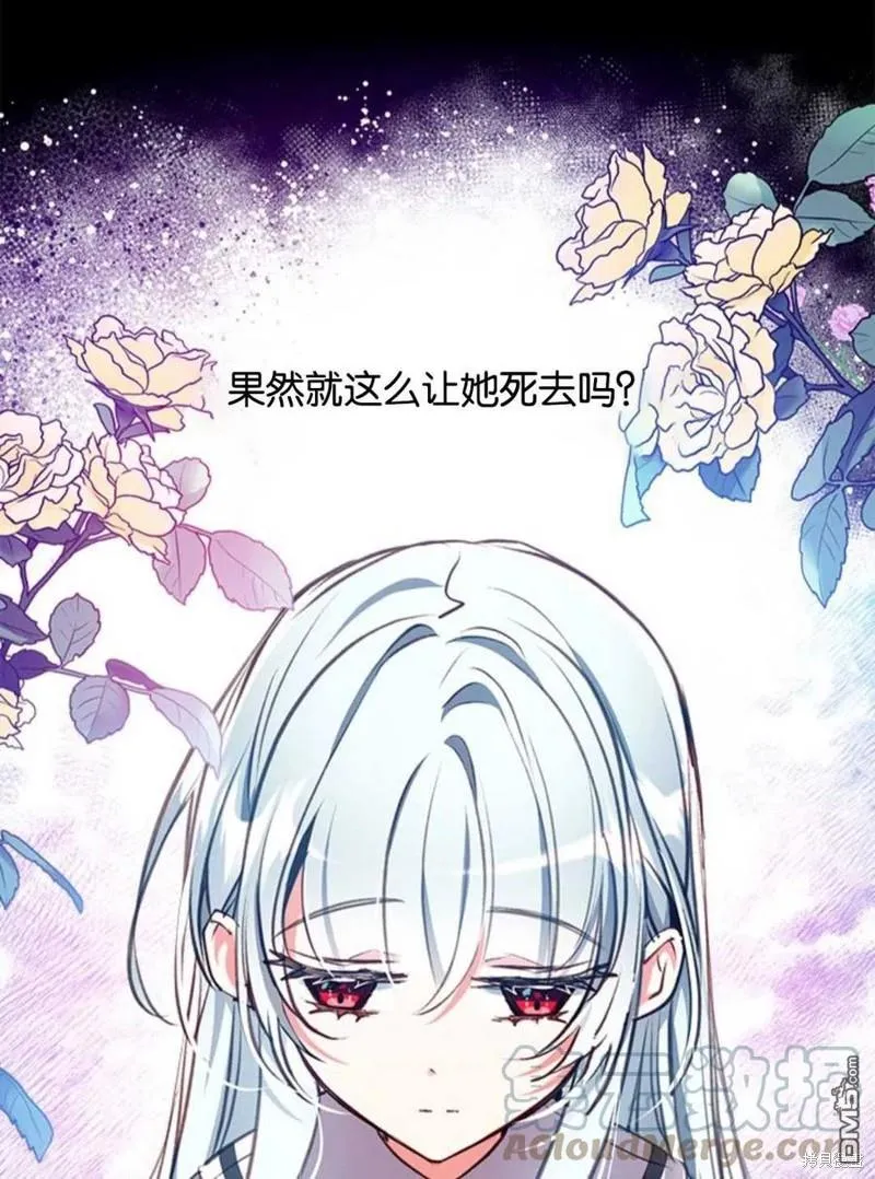 23.斯宾塞的提议 第41页