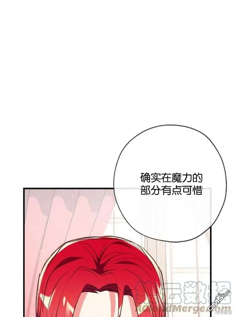 23.斯宾塞的提议 第49页