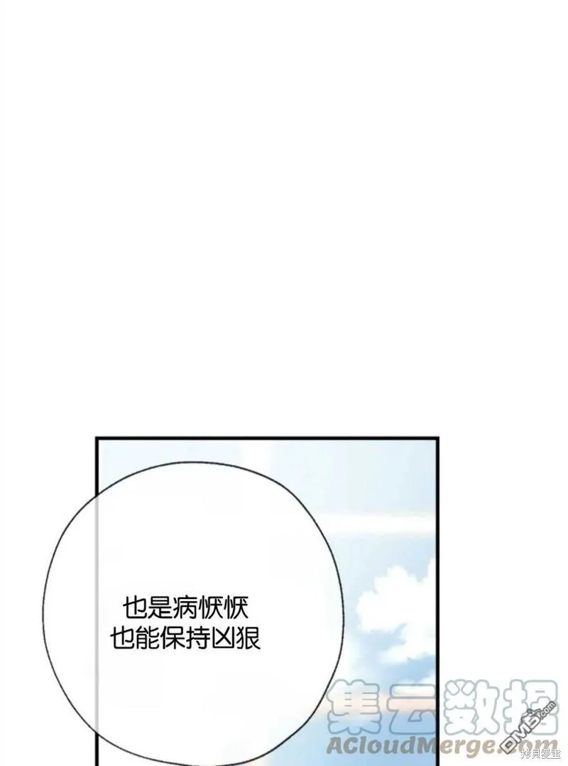 23.斯宾塞的提议 第77页