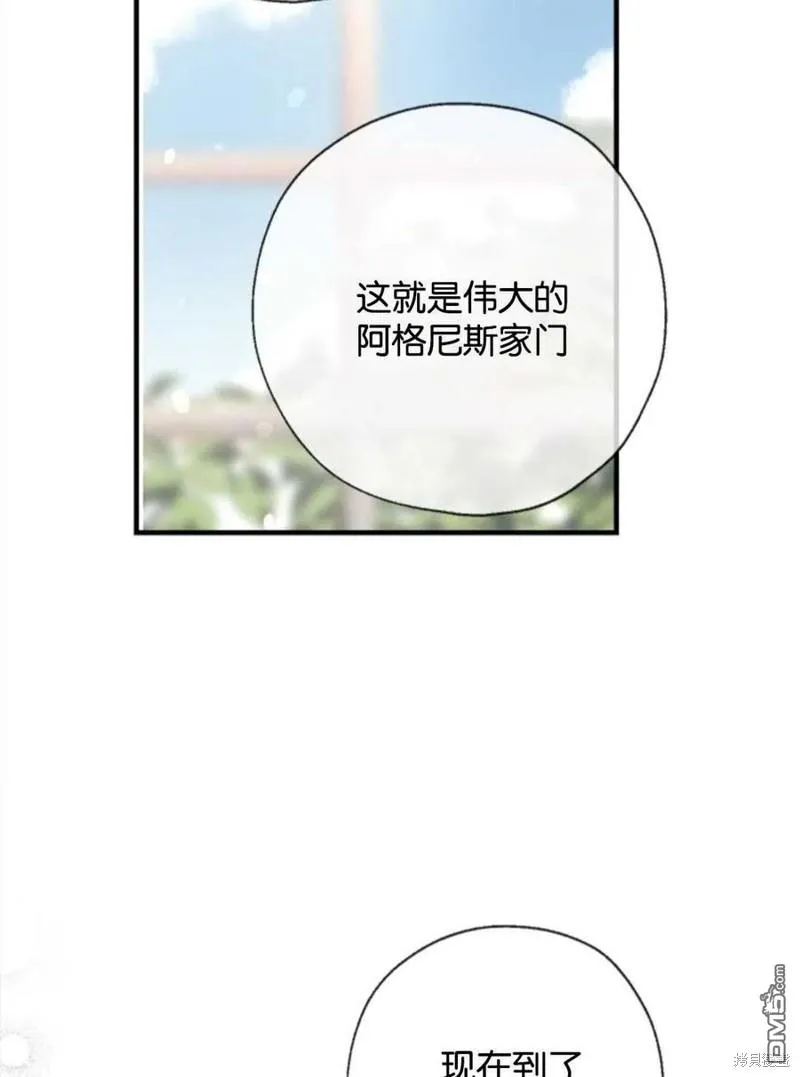 23.斯宾塞的提议 第78页