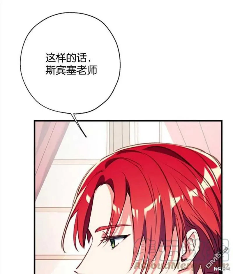 23.斯宾塞的提议 第81页