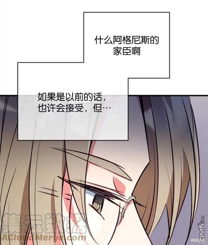 23.斯宾塞的提议 第85页