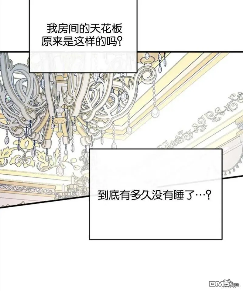 23.斯宾塞的提议 第98页