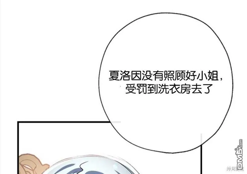 23.斯宾塞的提议 第111页