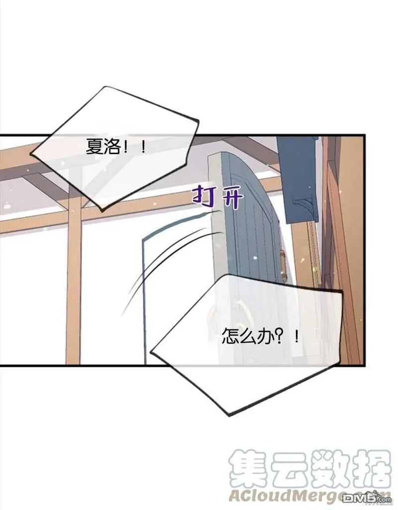 22.公爵的取舍 第13页