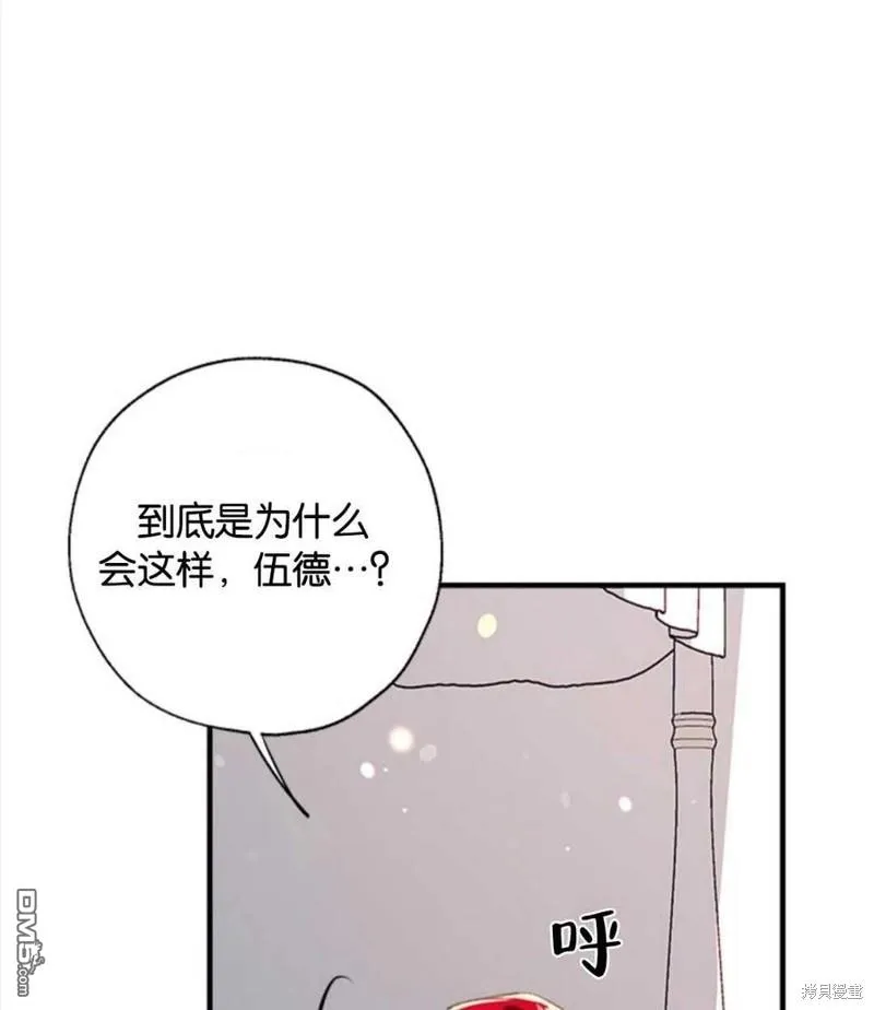 22.公爵的取舍 第74页